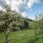 Urlaub Auf Der Alm
