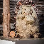 Urlaub Auf Der Alm Preggraben